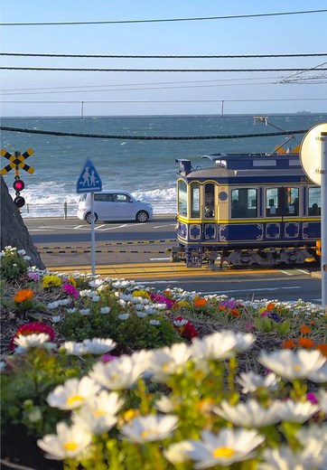 鎌倉高校前駅の春のアニメ聖地を楽しもう🌸🚃