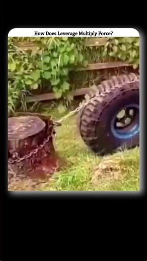 How Leverage Removes Tree Stumps