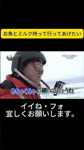 お魚とミルク持って行ってあげたい #イッテQ #世界の果てまでイッテQ #内村光良 #宮川大輔 #大島美幸