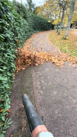 EGO Blower LB6151E EGO vs Autumn Leaves #ego #gardening #blower