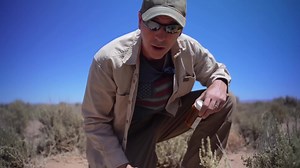 Deadly diseases during grid-down scenarios