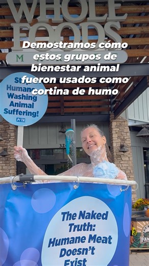 🚨 La carne "humanitaria" NO existe 🚨 Las etiquetas de Global Animal Partnership no protegen a los animales y, tras años de presión de PETA, ASPCA , Humane World for Animals y Compassion in World Farming dejan de respaldar este programa engañoso 👏🎉 | PETA Latino