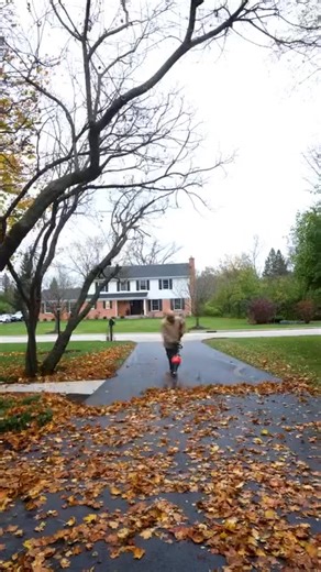 From trimming branches to clearing leaves, fall cleanup is easier with ECHO. Engineered for power, performance, and reliability, ECHO equipment helps you get the job done right and keep your yard ready for the season ahead.​​Visit us today to explore the full lineup. | London Power Equipment