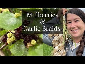 Mulberry Syrup and Garlic Braids | Homestead VLOG