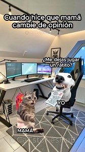 387K views · 14K reactions | Cuando hice que mamá cambie de opinión #humorviral #mamafeliz #gatitosbonitos #funnyreels #memes | CaT stories HuB | Facebook