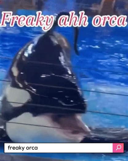 1.1K views | GIPHY on Reels | Facebook