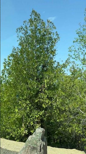 Acadia National Park Maine: Exploring Eagle Lake & Driving Cadillac Summit Road!