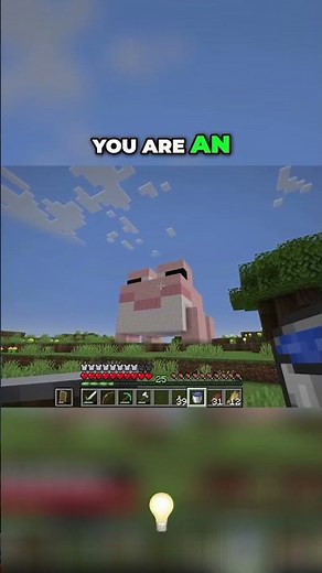 BROG THE FROG #minecraft