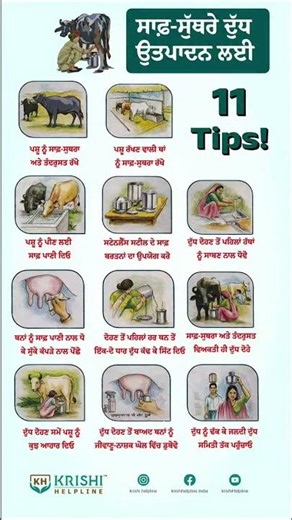 11 Tips for Clean And Healthy Milk Production!