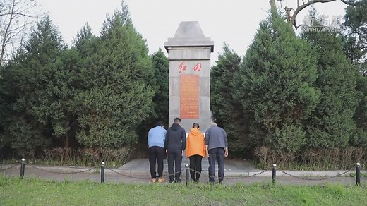 “红田”英烈：这山河锦绣，因你染红漫山杜鹃-河南融头条