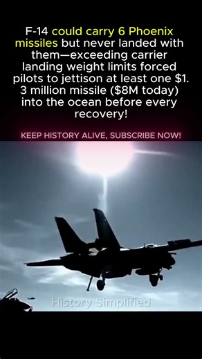 F-14 Carried 6 Missiles. Had To DUMP One Before Landing. Cost? $1.3M.
