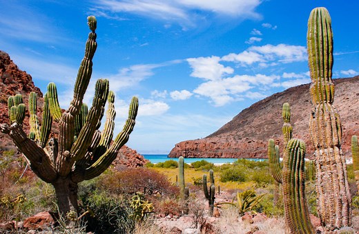 Baja California Sur - Turismo México | Qué ver y hacer