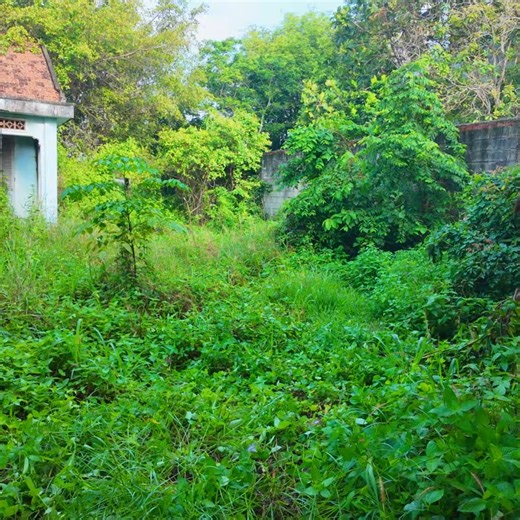 52K views · 896 reactions | Turning Ruins Into Relief: Free Kitchen Built from a 60-Year-Old Abandoned Home P1 #clean #cleanup #cleaning #cleaningtheoldhouse #cleaningmotivation | Clean The Old House | Facebook