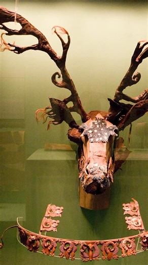At least 2300 years old, this horse mask is attributed to the Pazyryk culture of ancient Siberia. It is made of leather on a felt base and is crowned with large antlers. The nasal section features a leaping tiger figure, made from dyed blue fur and decorated with gold circles. It measures 65 x 45 x 25 cm (25.59 x 17.72 x 9.84 in). This artifact is now housed at the Hermitage Museum in St. Petersburg, Russia. photos: Garrett Ziegler, CC BY-SA 2.0 | Cosmos University
