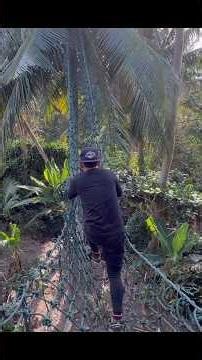 Setting up a rope bridge from the treehouse #KOOKIKO