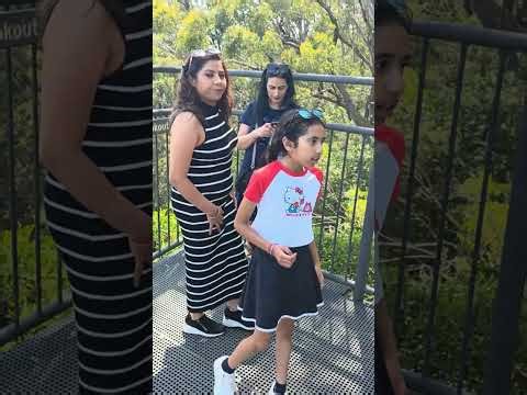 Fitzroy falls at Morton National Park