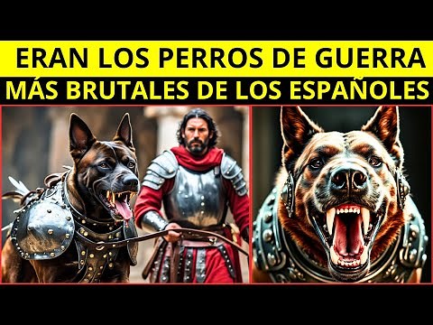 LOS PERROS DE GUERRA que cambiaron la historia de las batallas