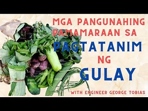 MGA PANGUNAHING PARAAN SA PAGTATANIM NG GULAY