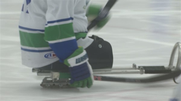 Sled Hockey team gearing up for upcoming tournament