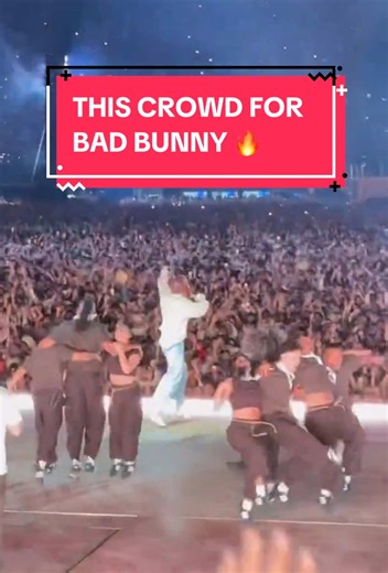 Bad Bunny Concert Moments That Will Blow Your Mind