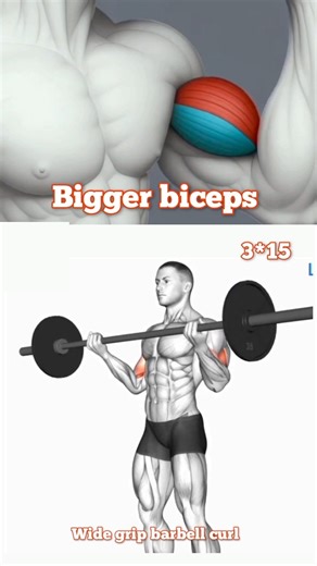 3 bigger biceps workout #fitnessreels #motivation @body.maintain9