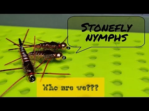 Stonefly Nymph (rubber legs)