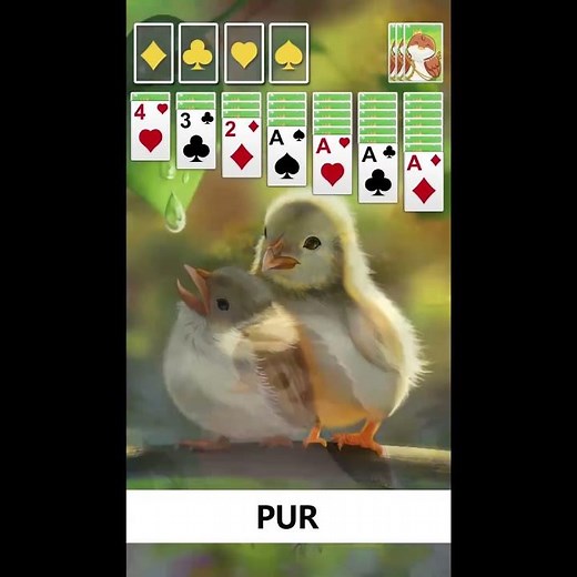 Jeu de solitaire stimulant et amusant. (1-1)