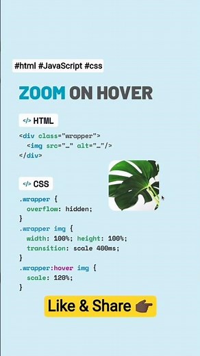 🔎 Zoom on Hover #css #html #javascript #js #zoom #animation #coding #webdevelopment #tips #tricks