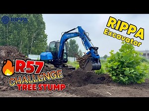 Rippa R57 Excavator| Stump Removal Challenge & Construction Demo#rippa #miniexcavator