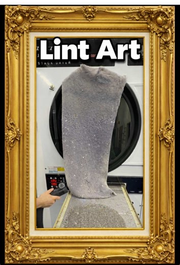 Transforming Lint into Art: A Unique Perspective