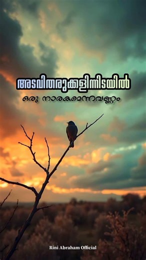 Rini Abraham | അടവിതരുക്കളിനിടയിൽ | Instagram