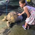 San Antonio Interactive Aquarium - Feed the Animals, Birds, and Fish!