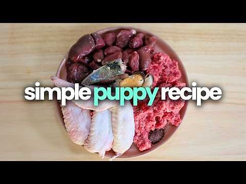 Simple Raw Food Recipe For Puppies