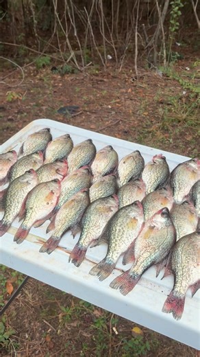 #holdyourmouthright #fishing #crappiefishing Cut Throat Jig Company | Malik Joyner