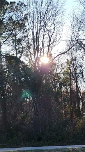 beautiful day outside March 9th 2026