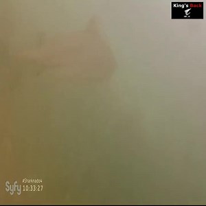 3.7K views · 42 reactions | 562025 2 Epic Happiness Alert! Watch and Smile Away  #JamesCameron #SciFiAdventure #Avatar2 #Pandora #AvatarMovie #Na'vi #FilmMagic #BeyondTheHorizon | Digital Movie | Facebook