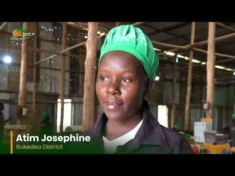 Graduated and Ready: Atim Josephine's Feed Mill Transformation Story