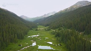 Welcome to Relaxation Experiences where you will find relaxing Zen videos for your Mind, Body and Spirit.