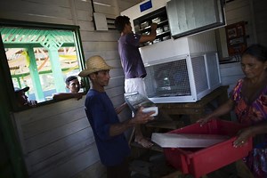 Making Ice With Solar Power In The Amazon #SolarPower