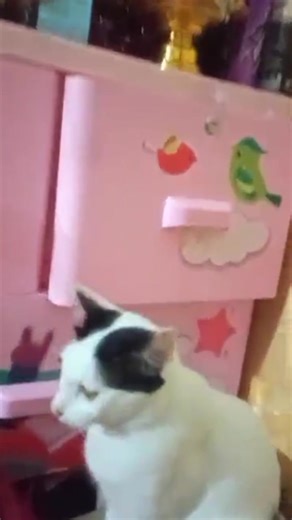 1.7K views · 21 reactions | អ្នកតាមកមុនហើយស្រេច #colcol | Col Col | Facebook