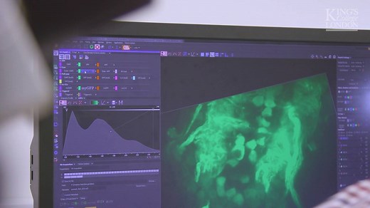 18K views · 16 reactions | "Neuroscience is at the beginning of a new journey. For the first time, we have the technology whereby we can look at the inner workings of a single cell at a greater resolution than ever before." Apply now for a place on the MSc Neuroscience at King’s this September. Scholarships available. https://www.kcl.ac.uk/study/postgraduate/taught-courses/neuroscience-msc.aspx | Institute of Psychiatry, Psychology & Neuroscience, King's College London | Facebook