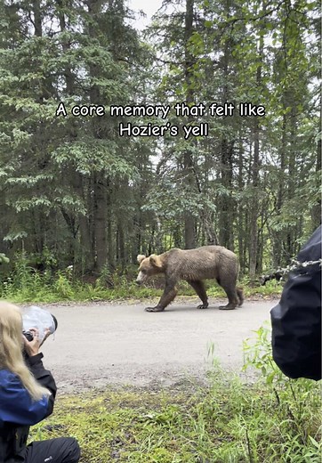 Explore Katmai National Park: Grizzly Bears and Scenic Trails