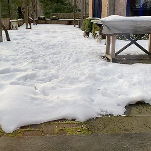 Patti Hansen on Instagram: "Magic moments 🥰"