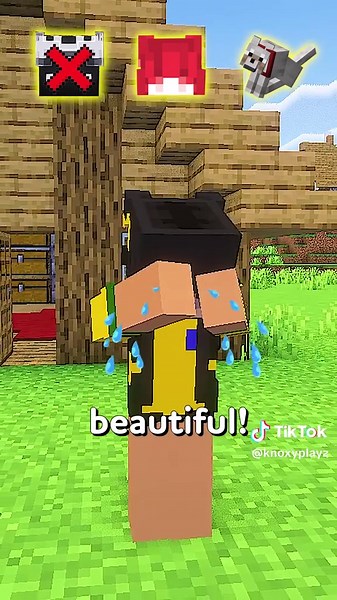 WHO SHOULD I SAVE_ PART 2 ⛏️ #shorts #minecraftmemes #minecraftbuilding #minecraftedit #Minecraft #minecrafttutorial #minecrafttutorials