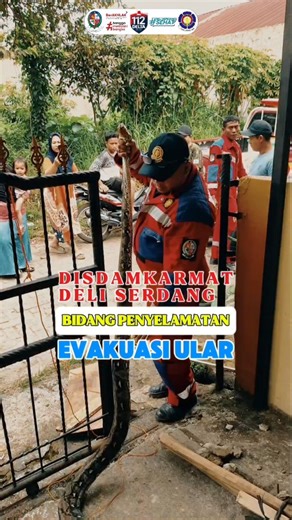 Damkar Deliserdang on Instagram: "*Date : 09:40 Rabu 11 Februari 2026 ( Operasi Darurat Non Kebakaran ) *LAPORAN* Animal Rescue *Kepada Yth* *Kepala Dinas Pemadam Kebakaran Dan Penyelamatan Kabupaten Deli Serdang* *Kepala Bidang Penyelamatan* *Kasi. Penyelamatan non kebakaran* *Waktu :* Berita di terima , Pukul 09:40 wib waktu Evakuasi 12:45 Wib - 14:00 wib Info penyelamatan* : Animal rescue ular masuk rumah *lokasi : Komplek Johor Bahru , Jln Tani Bersaudara , Desa Delitua , Kecamatan Namorambe
