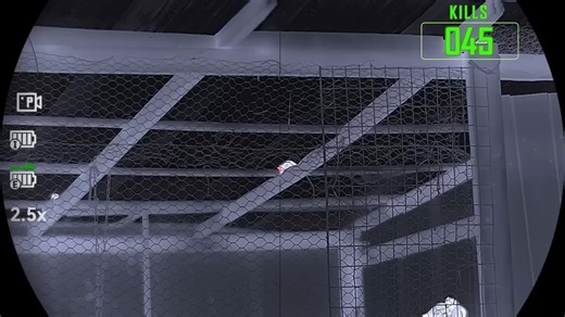 【搬】澳洲鼠害防治 热感镜气枪113杀 - RJM Hunting Australia