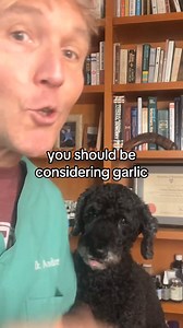 Garlic for Dogs and Cats- Good or Bad? #garlic #pets #natural #doghealth #cathealth #pethealth #homeremedies | Daily Pet Tips