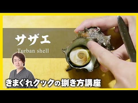 きまぐれクック流「サザエの捌き方」-Turban shell-