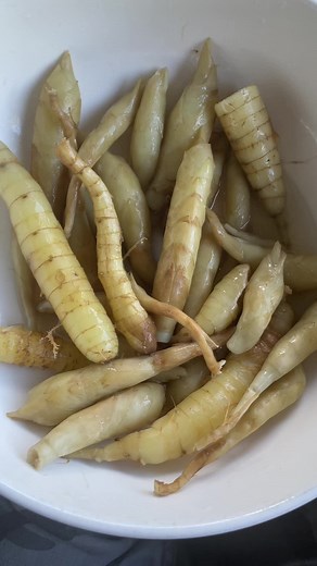 Cultivating Arrowroot: A Guide to Growing the Plant