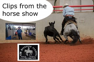 I did a live video from our stalls before a horse show. Here are some clips of the horses and our group | Tim Anderson Horse Training